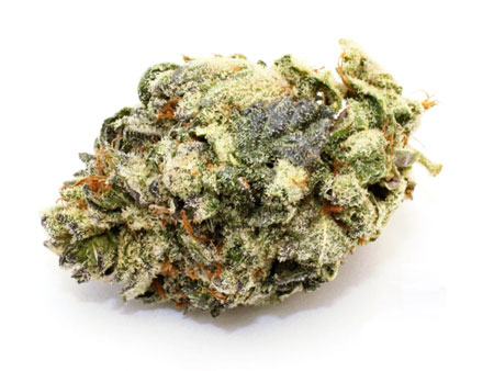 Professional-quality cannabis buds look, taste and smell great
