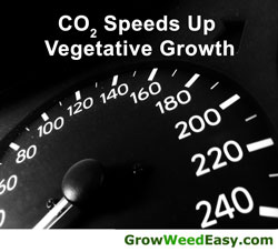CO2 Speeds of Vegetative Growth