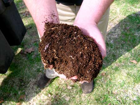 Bohatá kompostovaná půda je skvělá pro pěstování konopí