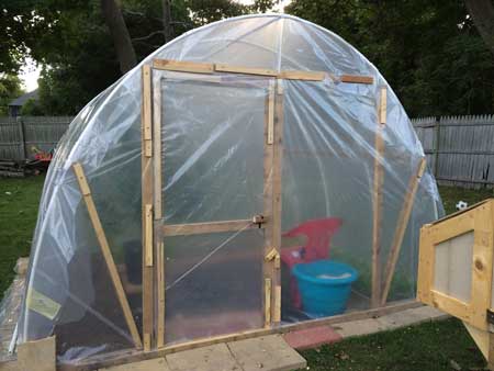 Use plastic tarp to cover the greenhouse