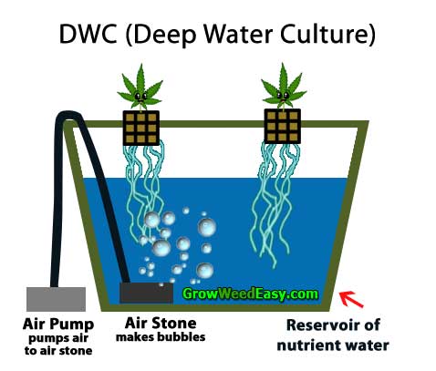Pěstování konopí s DWC (hloubokovou vodní kulturou) - diagram