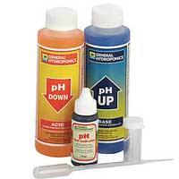 A pH test kit can be used to manage the pH in your cannabis grow