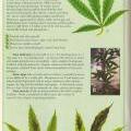 This infographic has more information about phophorus and your marijuana plant
