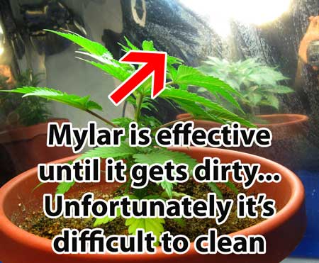 Mylar is effective until it gets dirty... unfortunately it is difficult to clean! Dirty walls reduce the reflectivity.