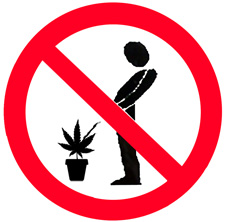 Don't pee on your plants!