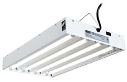 A common T5 grow light.