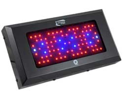 Blackstar 240 Watt LED Grow Light works best for marijuana when combined with an HPS grow light