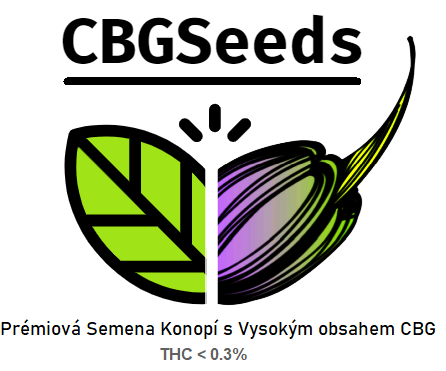 CBG semena konopí