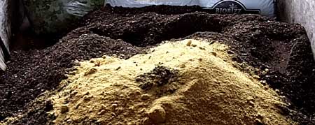 What soil looks like after adding Fish Bone Meal