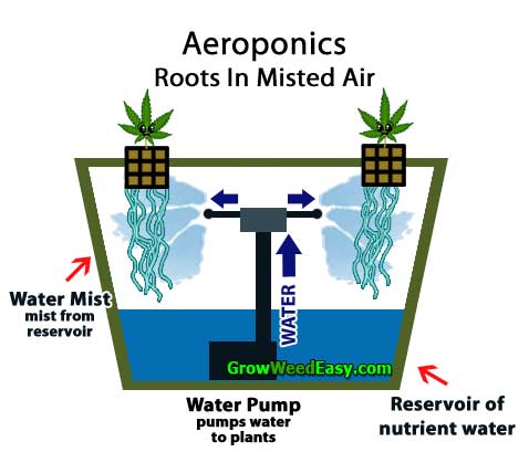 Growing cannabis with Aeroponics (plants get nutrients via misted air from reservoir) hydroponics diagram