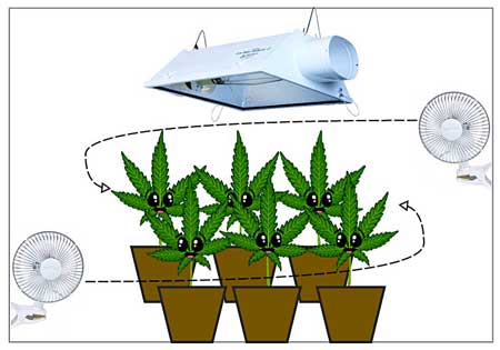 Growing cannabis circulation diagram