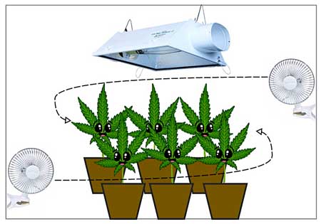 Cirkulační diagram pěstování konopí