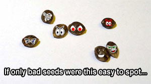 Uh oh...these are definitely some bad seeds...