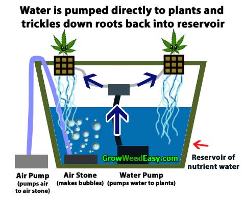 How to grow cannabis with bubbleponics - diagram