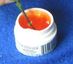 Always cover the entire bottom of the clone with cloning gel or powder to help promote root growth