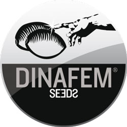 Dinafem logo