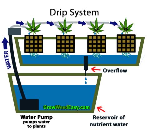 Growing cannabis with Drip System hydroponics diagram - flexible grow method can be used with soil, soilless or hydro