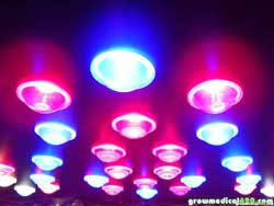 LED grow light called Pro-Grow X5 - Full Spectra & 5 watt chips