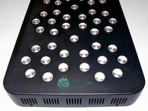 Click here to learn more about the Pro-Grow X5-300 LED grow light for growing cannabis
