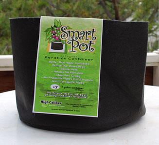 Fabric pots or "Smart Pots" are great for growing cannabis