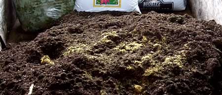 What cannabis super soil pile looks like after Fish Bone Meal is lightly mixed in