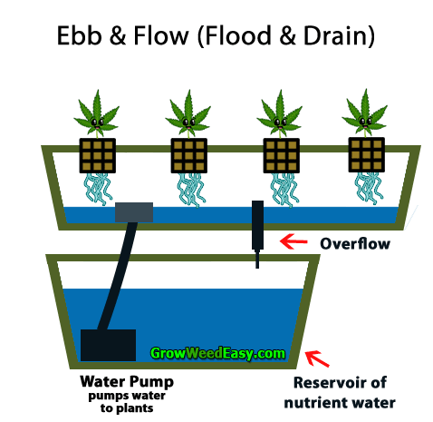 Growing cannabis with Ebb & Flow (Flood & Drain) hydroponics diagram - Moving gif shows how everything works