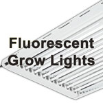 Fluorescenční Osvětlení jako je T5 může být nízkovýhřevné, nízkospotřební energetickou volbou při pěstování konopí