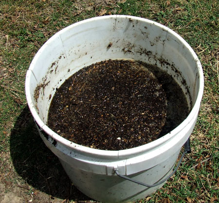 Fill bottom half of container with super soil organic mixture, then top off with untreated organic soil