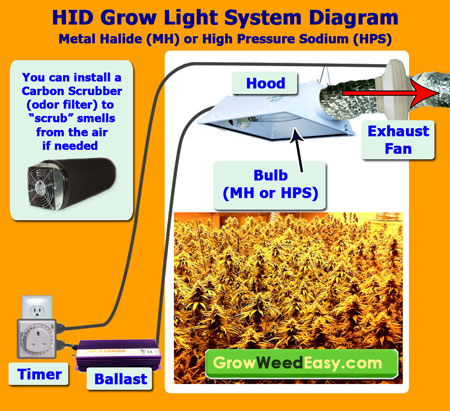 This HID Grow Light System Diagram explains all the components you need for a metal halide (MH) or high pressure sodium (HPS) grow light for growing marijuana