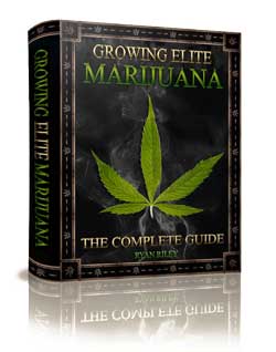 Growing Elite Marijuana by Ryan Riley