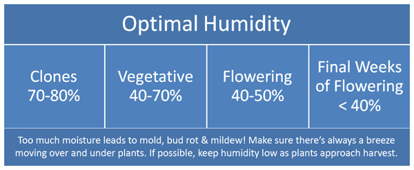 Optimal growing cannabis humidity chart