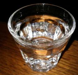 Place seeds in a glass (or in this case shot glass) of plain warm water