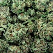 Dried marijuana buds. Mmmmm. ^_^
