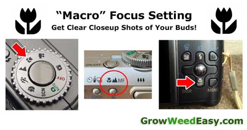Use "Macro" focus mode to get clear pictures of your buds