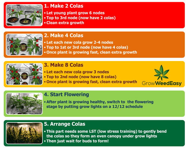 Building a manifold - main-lining cannabis step-by-step diagram and tutorial