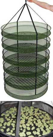 A mesh drying rack can be used for drying buds, but it will tend to dry out buds faster than hanging them upside down by their stems