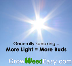 With marijuana plants, generally more light = more buds