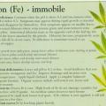 This info-graphic has more information about iron and your marijuana plant