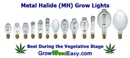 Metal Halide (MH) Grow Lights for Growing Marijuana