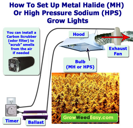 How to set up MH or HPS Grow Lights