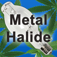 Metal Halide