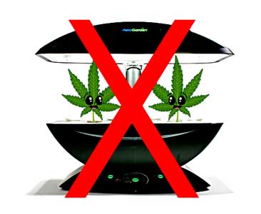 Small hydroponic growing systems like the "AeroGarden" (often called the Aerogrow) are NOT suitable for growing large plants like cannabis