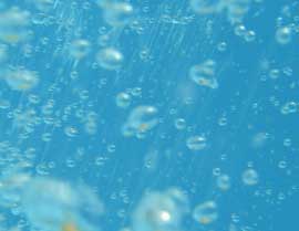 Lots of bubbles make marijuana roots happy in hydroponics