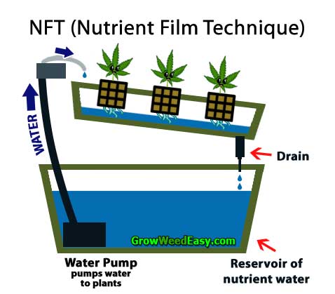 Growing cannabis with NFT (Nutrient Fulm Technique) hydroponics diagram