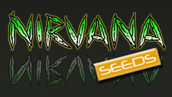 Nirvana semena konopí logo