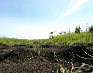 Many people feel that organic growing is closer to nature.