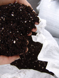 Organic soil is rich with all the stuff your marijuana plants love