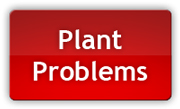 Problém s rostlinou? Tato stránka vám pomůže diagnostikovat vaše rostliny!