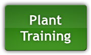 Naučte se jak trénovat vaše rostliny pro větsší výnosy