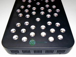 Pro Grow X5 LED Grow Light